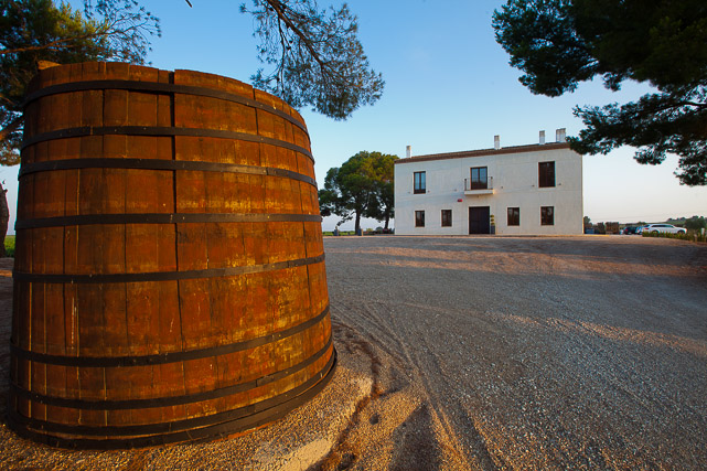 FotografiÌa del vino y bodegas-Valencia